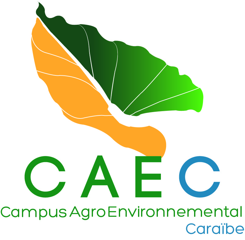 Logo CAEC