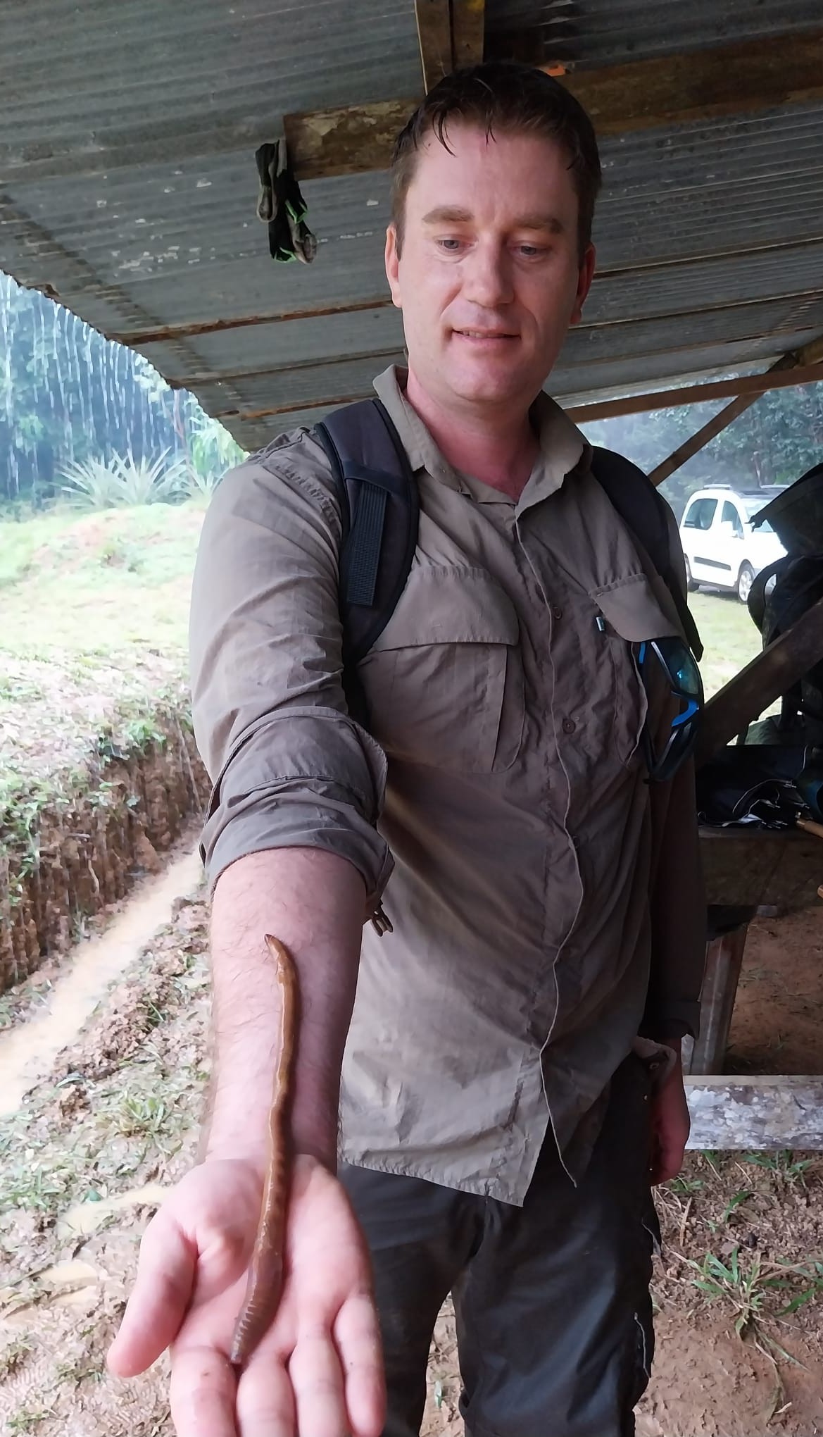 Rapha&euml;l Marichal, Earthworm, Paracou, French Guiana